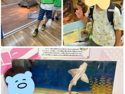 toiro相模大野part180 196582f42a62b3b7e2ebdcf934941f7b 400x300 - toiro相模大野part180