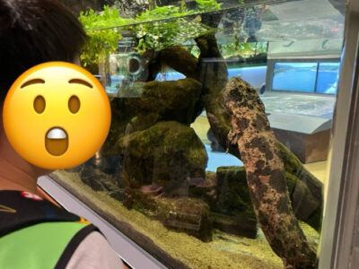 ◎ 8月4日(月·祝)トイロ東戸塚◎ 相模川ふれあい科学館 89f5a937e11b34e75e1d0be456818490 400x300 - ◎ 8月4日(月·祝)トイロ東戸塚◎ 相模川ふれあい科学館