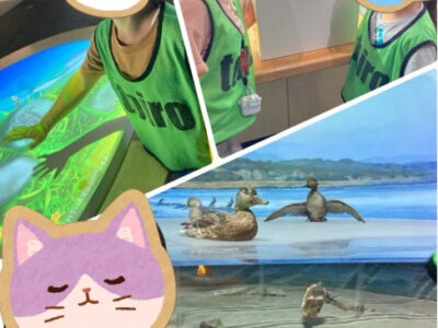 toiro相模大野part182 21fe84d24b652f4f78404cf23a50a8e9 400x300 - toiro相模大野part182