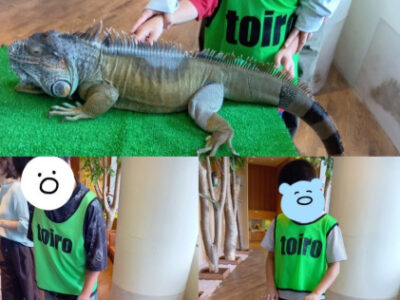 トイロ二宮 10月12日(日)モフアニマルカフェ 71e3b1f2dfc8622378619c367034d578 400x300 - トイロ二宮 10月12日(日)モフアニマルカフェ