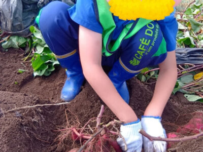 toiro小田原☆さつまいも狩り 9f38942875fb23a5535505111d57c64f 400x300 - toiro小田原☆さつまいも狩り