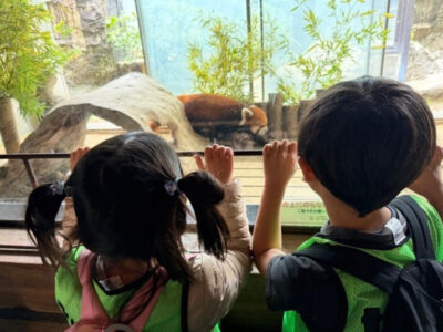 ♪11月1日(土)♪トイロ戸塚 4db956bc9131973f94bf011d09e4c0ee 400x300 - ♪11月1日(土)♪トイロ戸塚