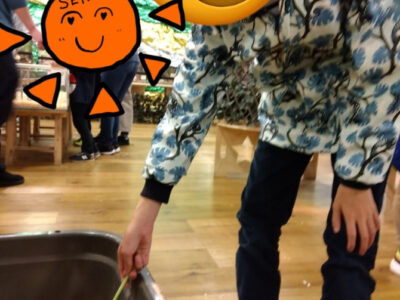 ☆トイロ辻堂☆11月7日【いきもの探検隊】 4e2f8a677ea24dd45cf0a84c10036188 400x300 - ☆トイロ辻堂☆11月7日【いきもの探検隊】