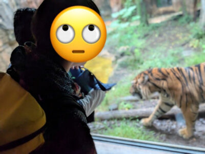 79208d9488320744beb9b1099629371d 400x300 - ☆10月26日(日) toiro藤沢 第2 上野動物園☆