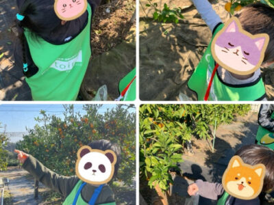 2025年11月17日 みかん狩りに行こう! 850a34b32cad6f137874d5226b3d0bd5 400x300 - 2025年11月17日 みかん狩りに行こう!