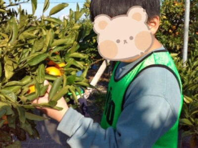 df04d0fe4cc53e2ac4d17c2f76d624a6 400x300 - 11月15日（土）☆toiro根岸☆　みかん狩り