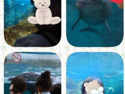 10月4日(土)⭐️トイロ野比⭐️江の島水族館へ行こう‼️ e24f0b7294784c7e7c5096c5db4a83a0 400x300 - 10月4日(土)⭐️トイロ野比⭐️江の島水族館へ行こう‼️