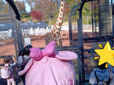 e6d6a26cf3b682e06ccd0e3a6b905bd0 400x300 - 【トイロ柿生】多摩動物公園11月24日