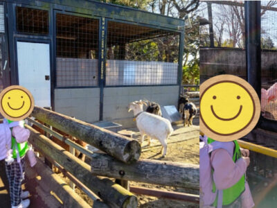 ♪トイロ白楽♪【夢見ヶ崎動物公園へ行こう】2026.01.03 187c815f448a5ebda95b883cb7dd2642 400x300 - ♪トイロ白楽♪【夢見ヶ崎動物公園へ行こう】2026.01.03