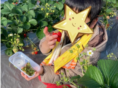 ☆トイロ大津☆ 1月24日(土)【いちご狩りに行こう】 b1f65bd78cde53c187b9087508a59d7c 400x300 - ☆トイロ大津☆ 1月24日(土)【いちご狩りに行こう】
