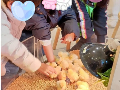 e8493ce0a6eec14eee124278a8fbae84 400x300 - 12月26日（金）トイロ渋沢☆モフアニマルカフェ☆