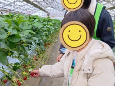 9fa2e1aff35af25802af6af8e0ef5ca4 400x300 - 2月8日＊toiro小田栄　第2教室　(いちご狩りに行こう！)