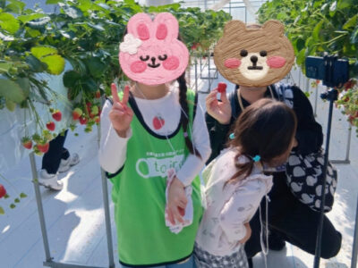 0785de14fdff3e734bdc8be15a8adb57 400x300 - 2026年2月23日トイロ向ヶ丘遊園【親子イベント いちご狩り】