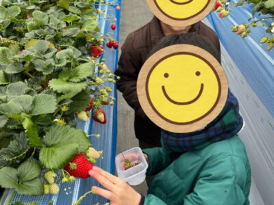 2月7日(土) toiroかしわ台② ☆いちご狩りに行こう☆ bc828df7fca9fcb622407c492dab78f4 400x300 - 2月7日(土) toiroかしわ台② ☆いちご狩りに行こう☆