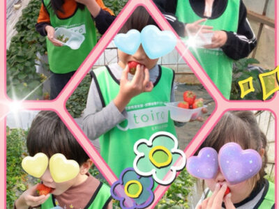 57e8dcaed462dac25283fd70dbbf50bf 400x300 - ３月20日（金・祝）トイロ野比⭐️いちご狩り⭐️