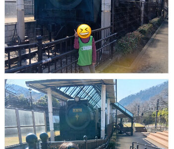 3月14日(土) toiro小田原 お出かけイベント 59f265a879455cb739fe8b89b8d7dddb 351x300 - 3月14日(土) toiro小田原 お出かけイベント