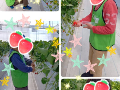 3月14日 ☆トイロ秦野☆ いちご摘みに行ってきました! 7898bc254ceea37074d6235d5a39ae45 400x300 - 3月14日 ☆トイロ秦野☆ いちご摘みに行ってきました!