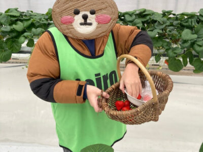 2月11日toiro川崎第2教室 いちご狩り b83d942faa511f9c71a2255a9901b33e 400x300 - 2月11日toiro川崎第2教室 いちご狩り