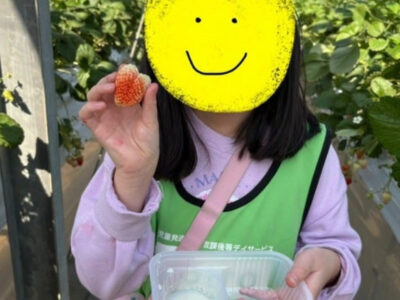 c3fe0b6385a9edb27cc67acab42a0200 400x300 - 3月15日トイロ本牧【イチゴ狩り】