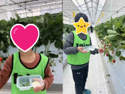 3月7日(土)☆トイロ伊勢原☆いちご狩り cf181d7caf9122b6f45c6cdec057d957 400x300 - 3月7日(土)☆トイロ伊勢原☆いちご狩り