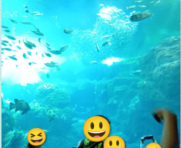 6e21181f428f19dd129ccd4357c1a44c 367x300 - 4月19日（日）　江ノ島水族館に行ってきました