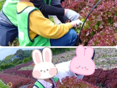 5月18日 トイロ逗子 野菜農家へ行こう 657248c5c7d16130090d7022759ad472 400x300 - 5月18日 トイロ逗子 野菜農家へ行こう