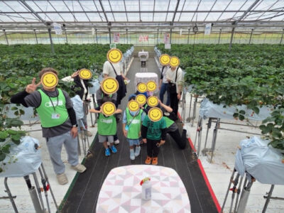 a4de54f6e3c1dd4c6ca6d761d97a7875 400x300 - ☆トイロ東野川☆5月26日　【いちご狩り】
