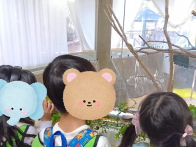 トイロ衣笠 動物園へ行こう fb08e531e42590b221f713bee42ea50d 400x300 - トイロ衣笠 動物園へ行こう